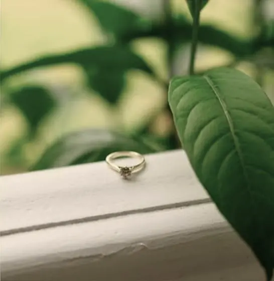 An engagement ring resting on a white windowsill beside a green leaf